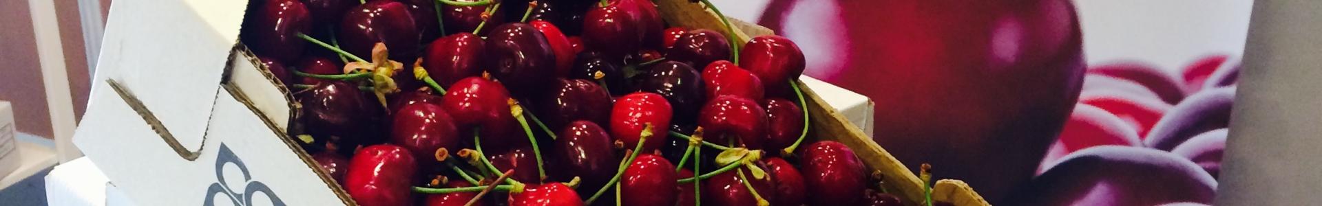 FESTA DA CEREJA 2017